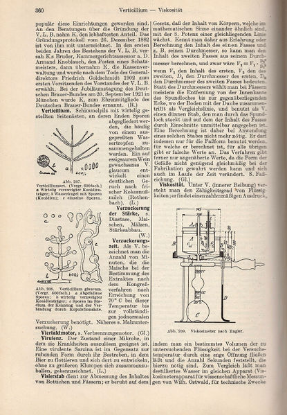 Datei:1925 Hayduck 360 2.jpg