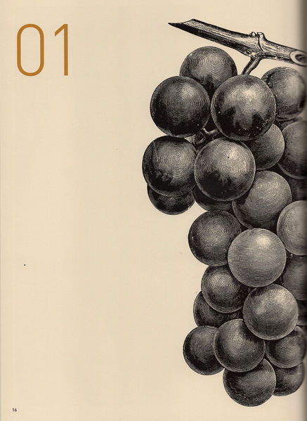 Datei:2012 Apcor 16.jpg