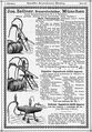1891 35 Zellner Bayerisches Brauer Journal.jpg